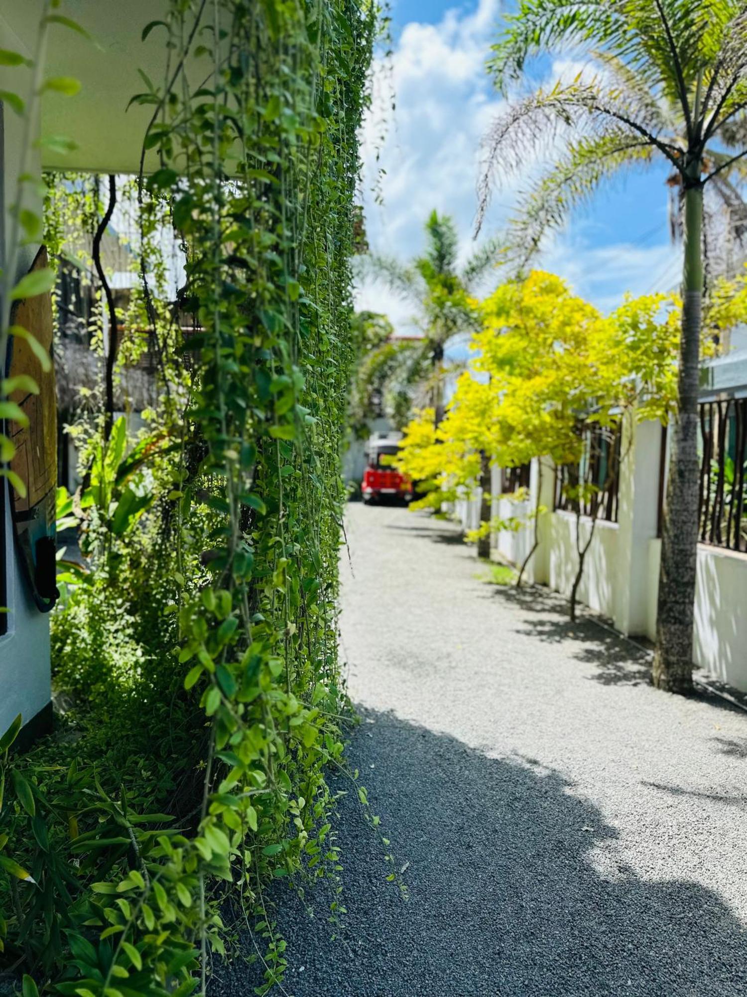 Cozy Sea View Inn Hikkaduwa Luaran gambar